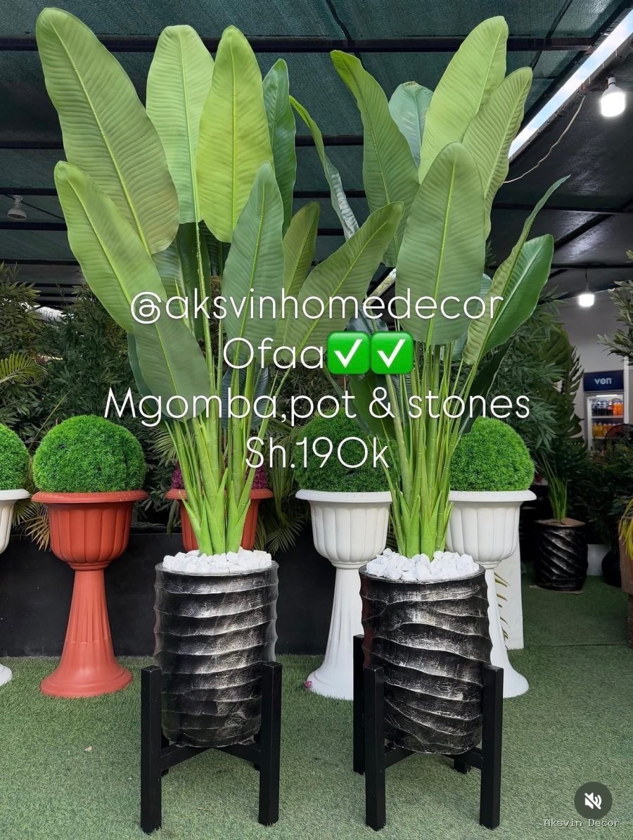 Mgomba+ pot