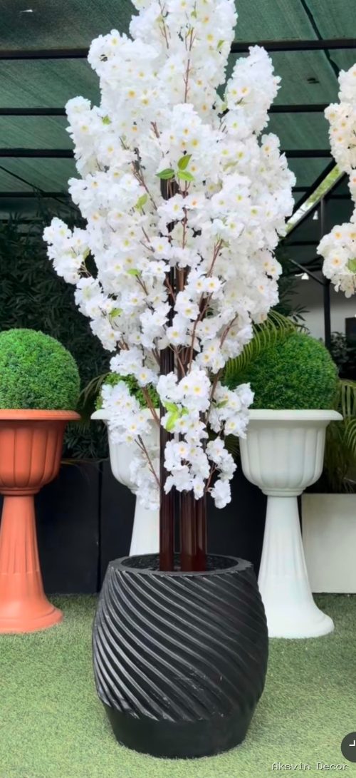 White cherry bila pot