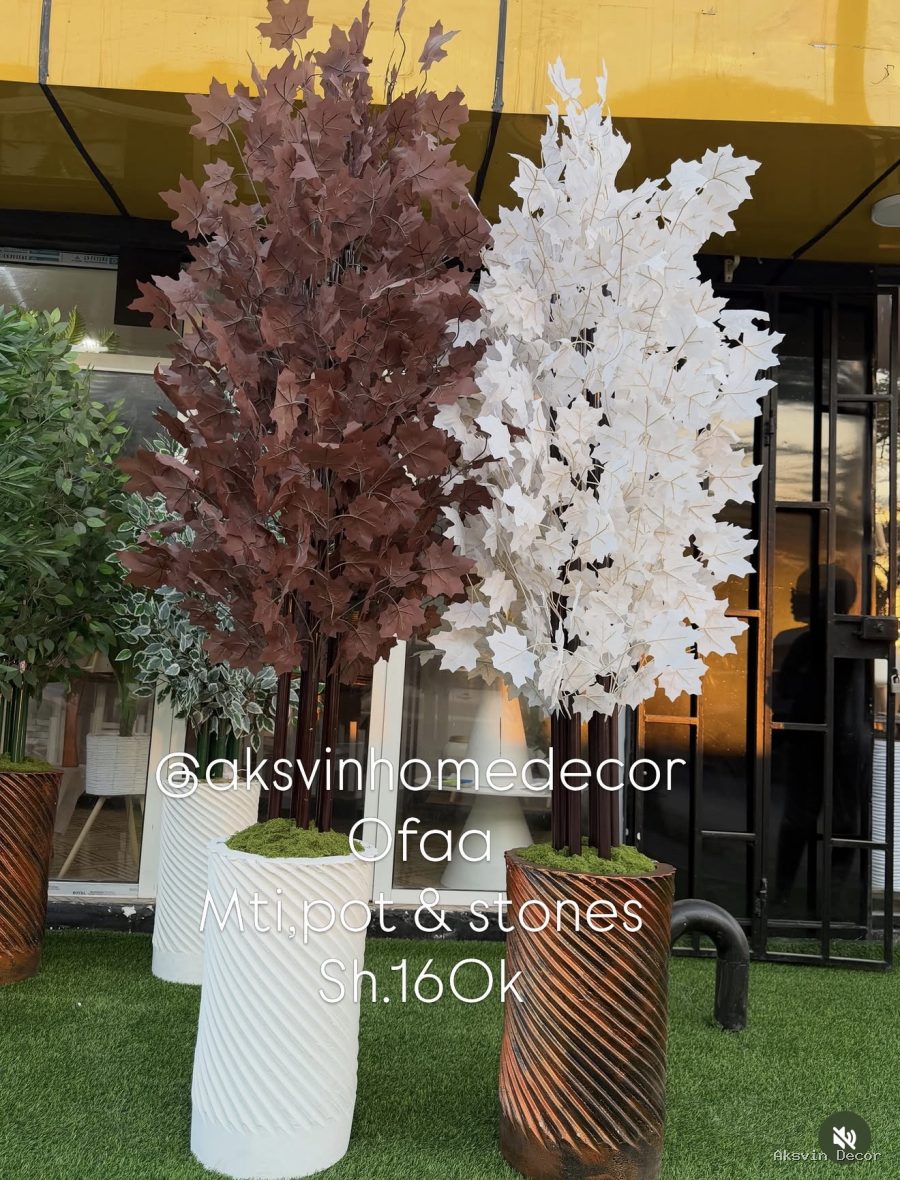 Autumn Tree + Pot
