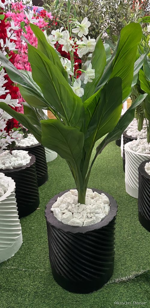 Majani mapana white juu bila pot