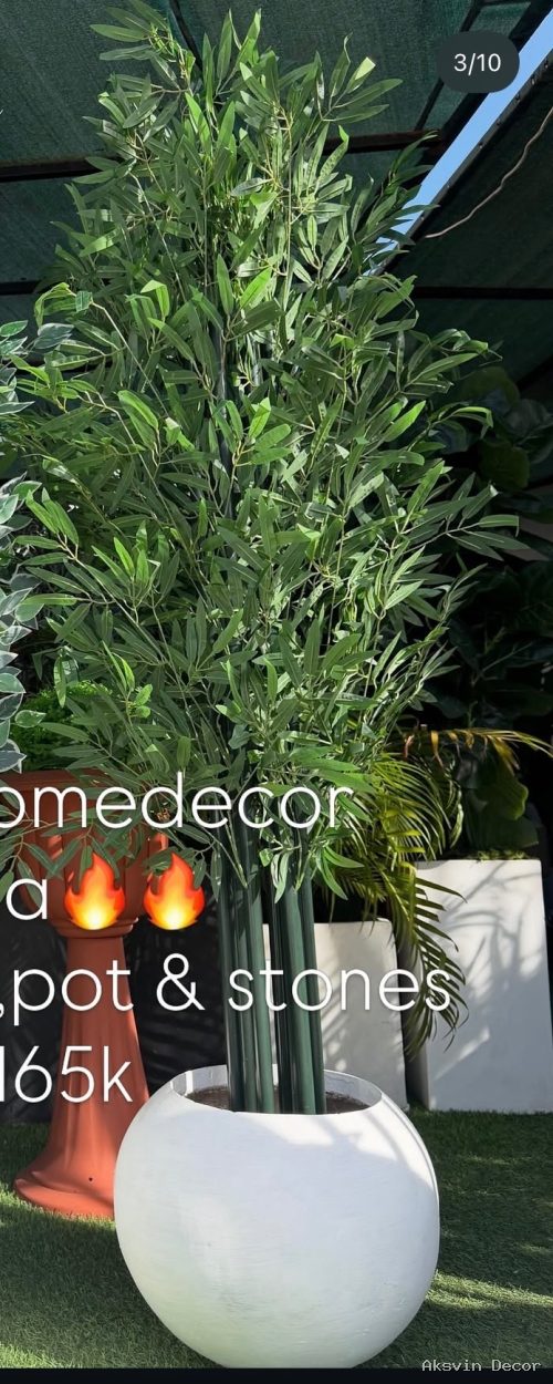 Bamboo cm 200 + pot