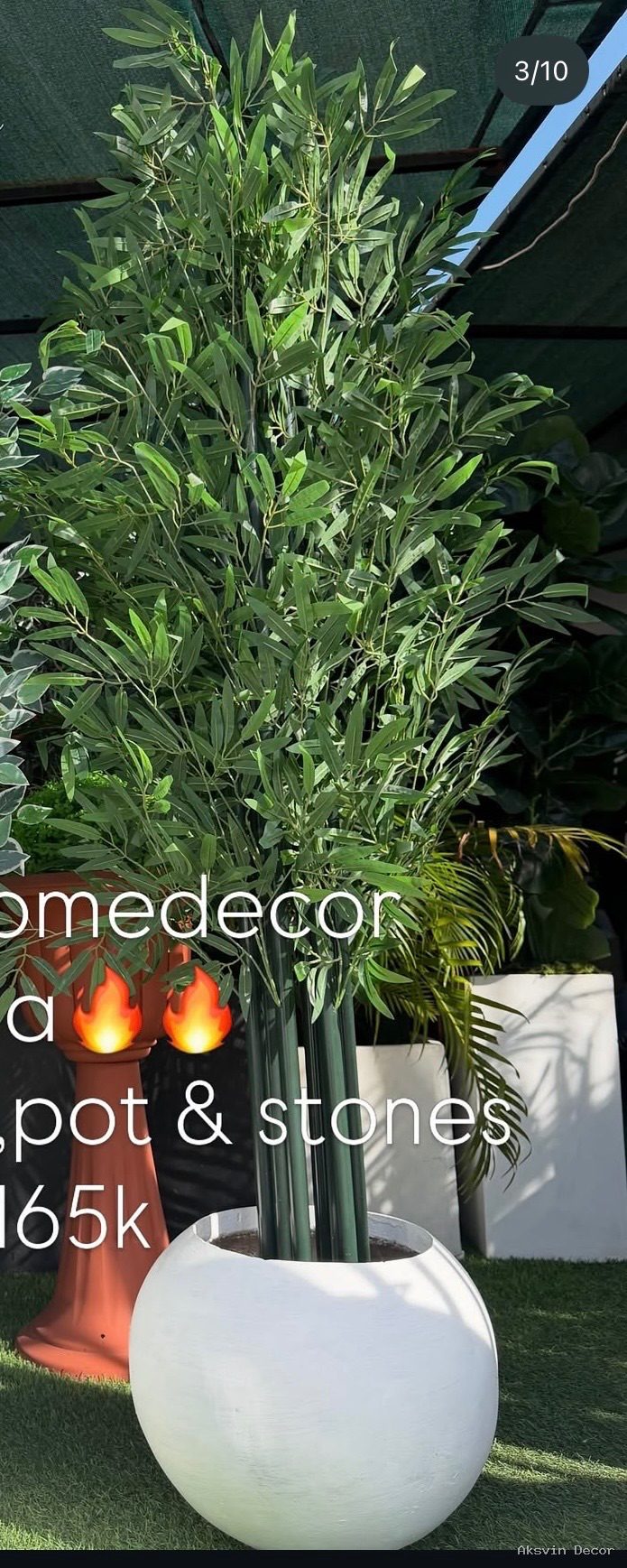 Bamboo cm 200 + pot
