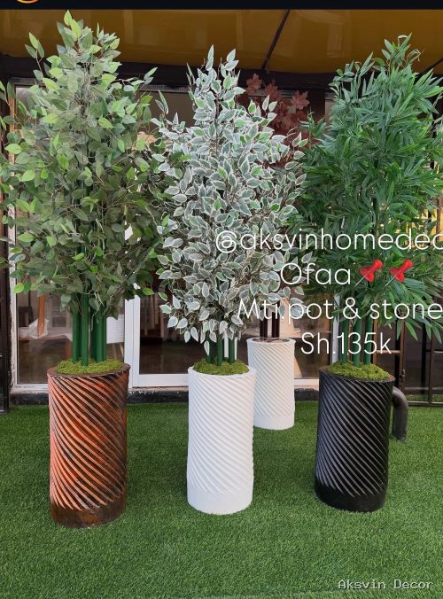 Bamboo + pot