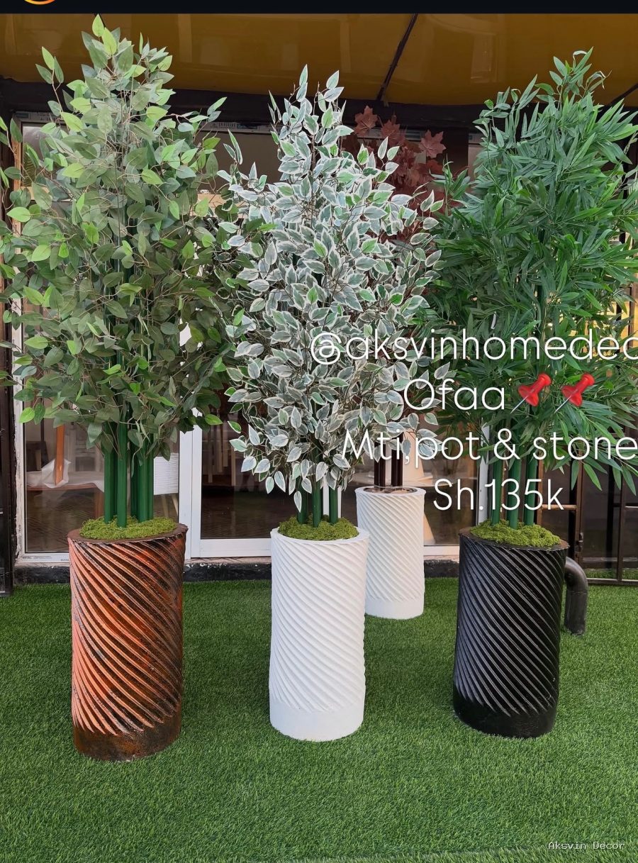 Bamboo + pot