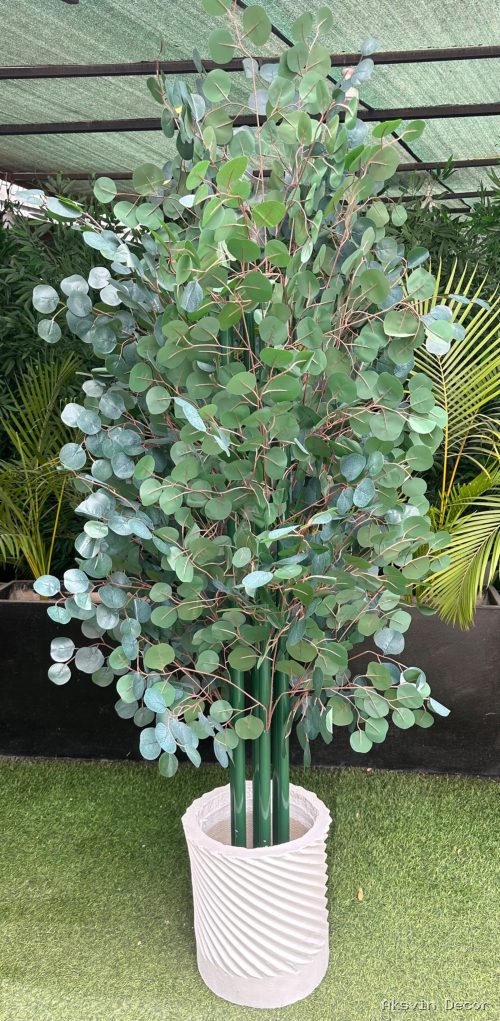 Dark green Eucalyptus + pot