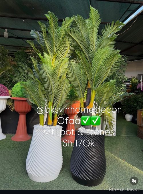 Palm + pot