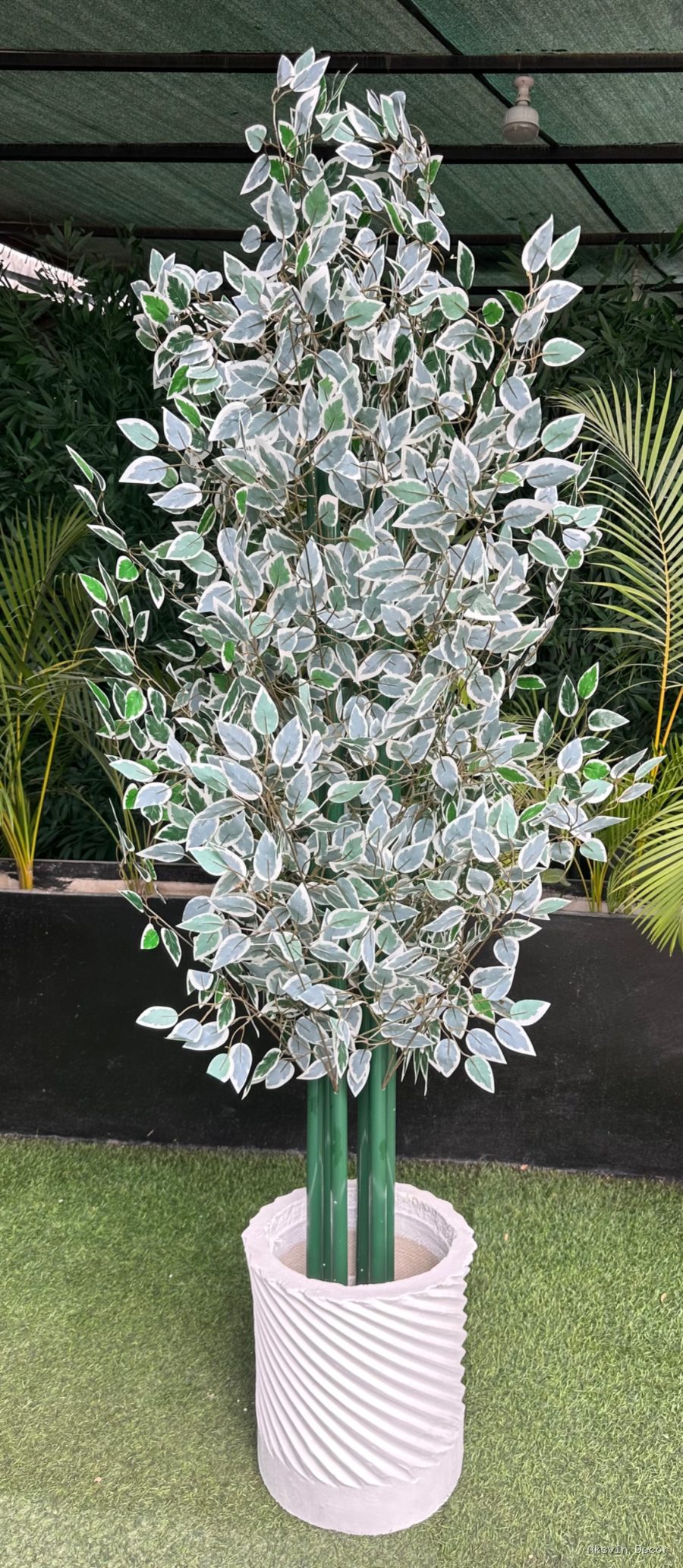 Macau bila pot