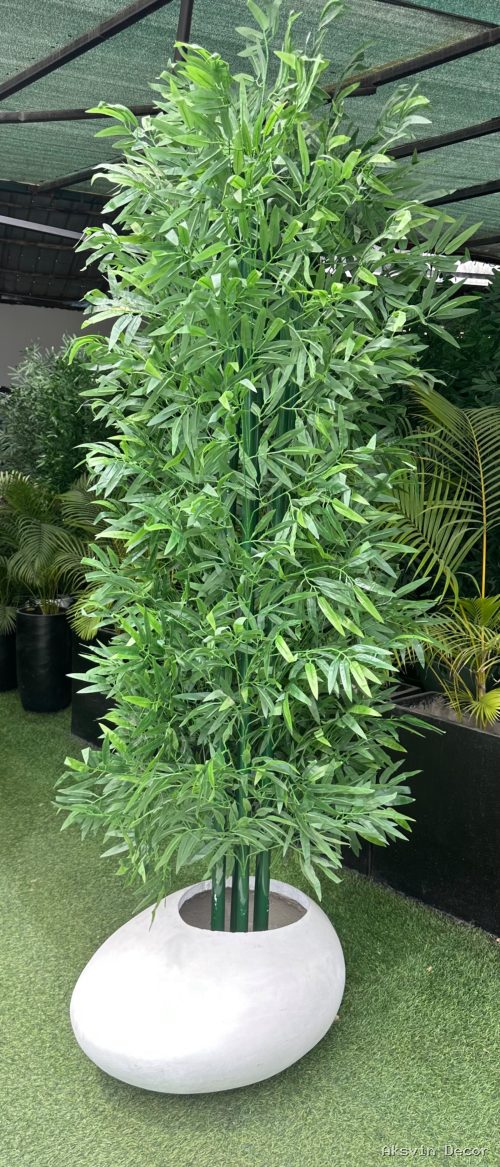 Bamboo cm 250 + pot