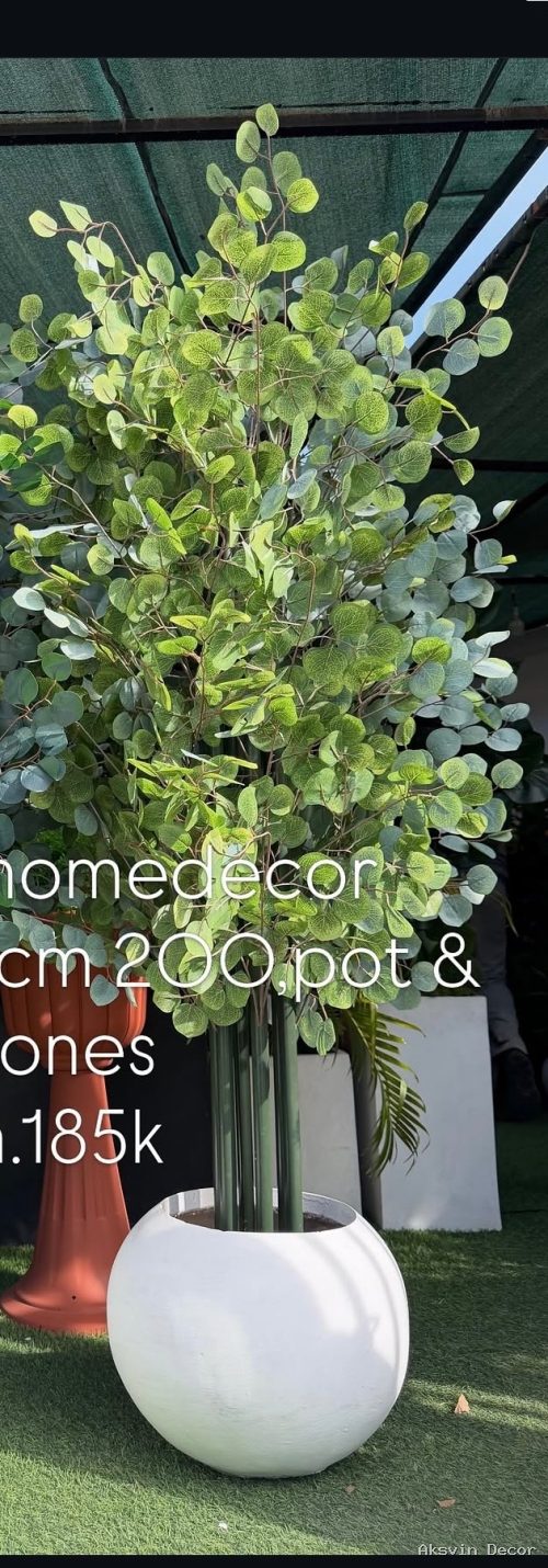 Pale green eucalyptus + pot