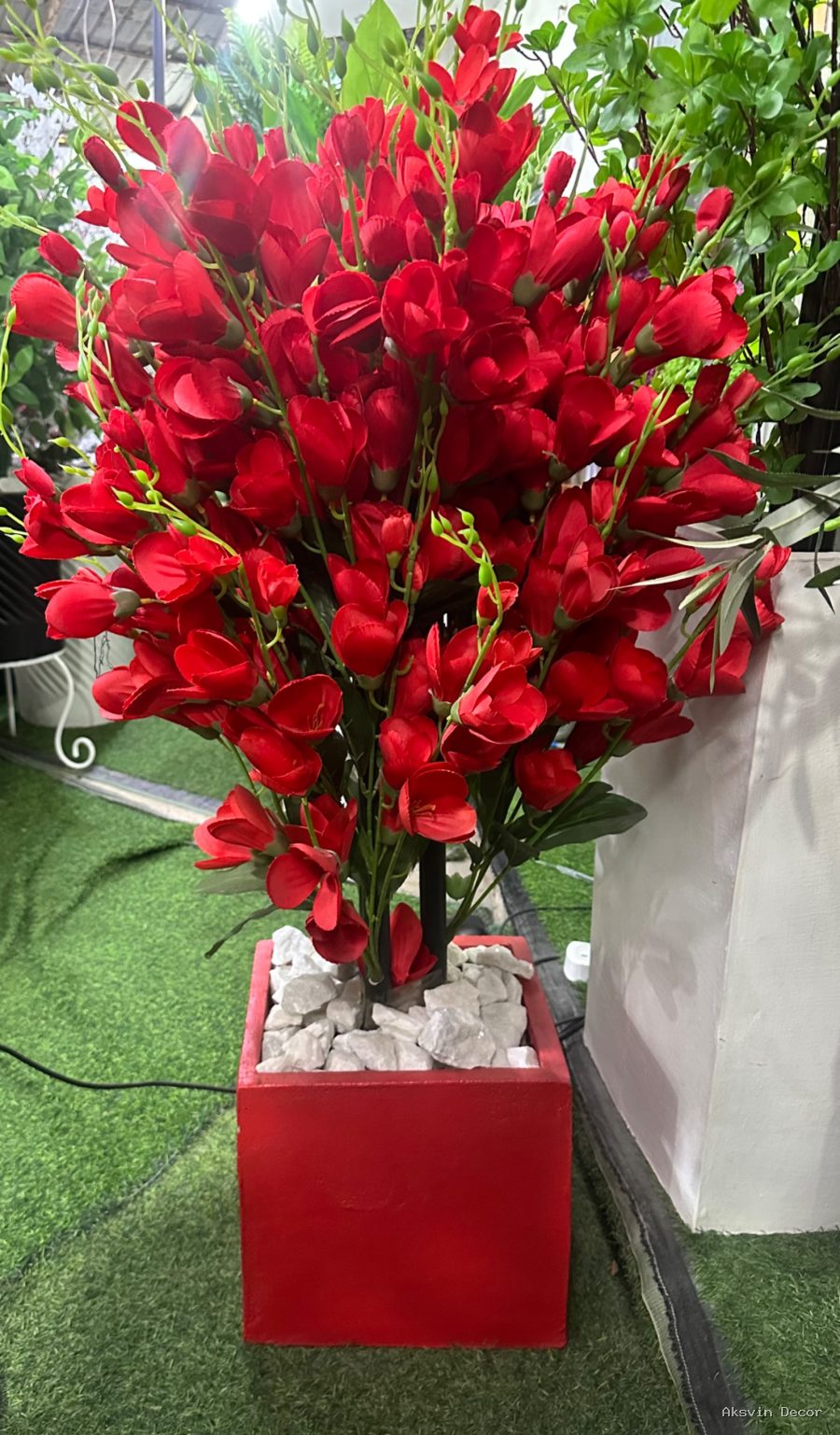 Red tulips + pot