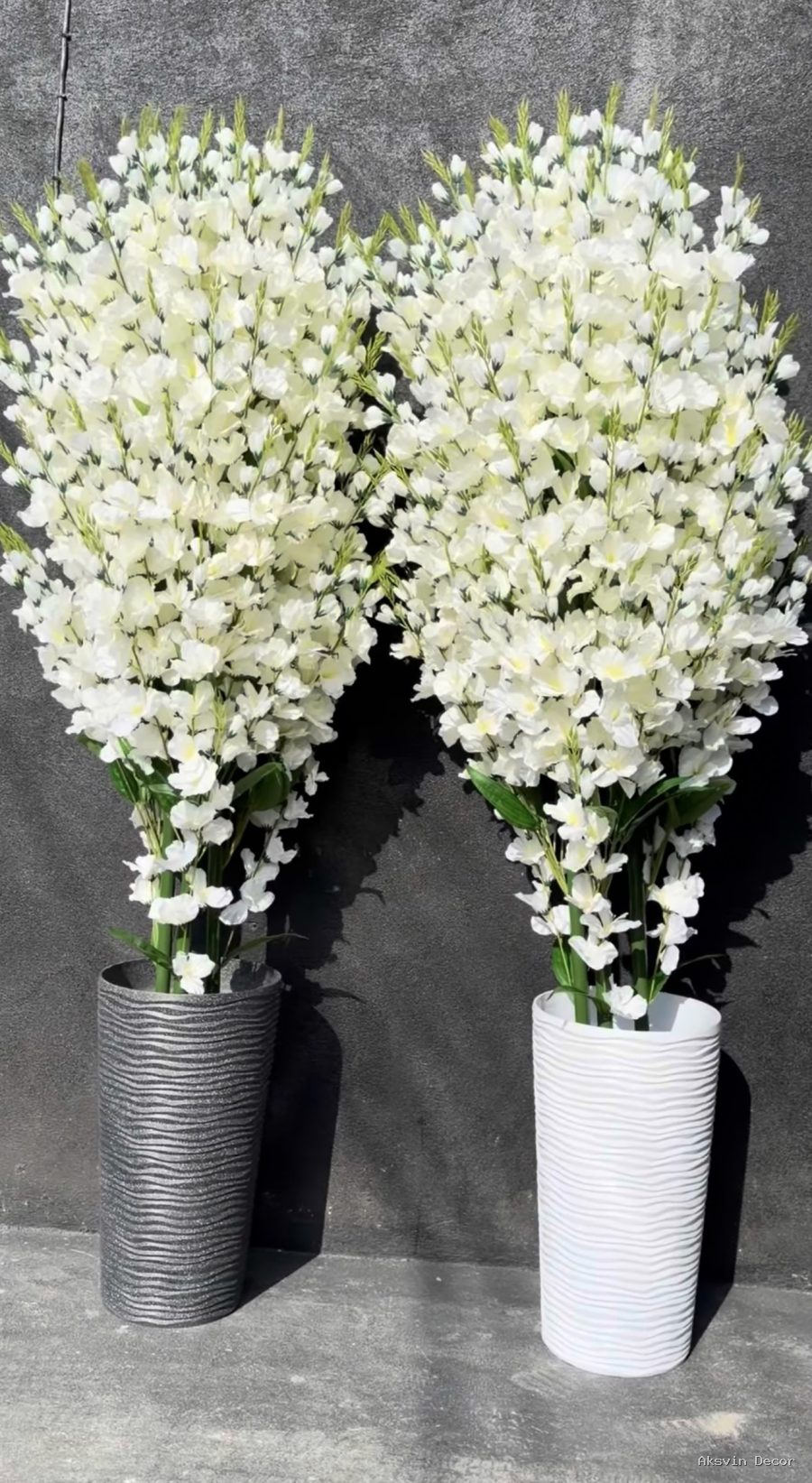 Gladiolus + Plastic Pot