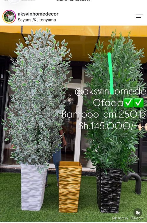 Bamboo bila pot